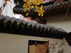 -郑和公园