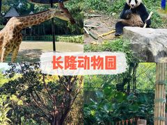 -广州长隆野生动物世界