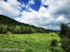-白草畔自然风景区