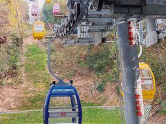 -东湖磨山景区