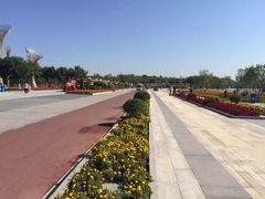 -武清南湖绿博园