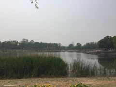 -永定河休闲森林公园