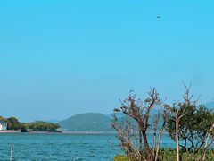 -东钱湖旅游度假区