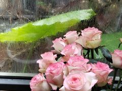 -肴约·花园式餐厅(湖里店)
