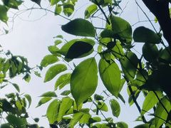 -沣峪口