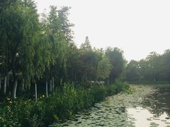 -东台西溪天仙缘景区