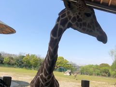 -宁波野生动物园