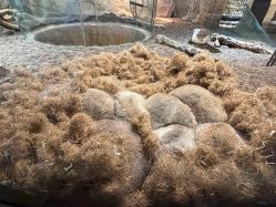 -Zoolung Zoolung动物主题公园(海信广场店)