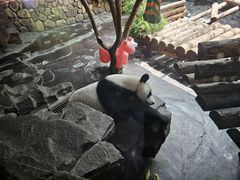 -济南野生动物世界