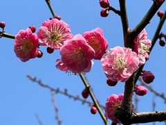 -静安雕塑公园