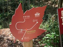 -塔川景区