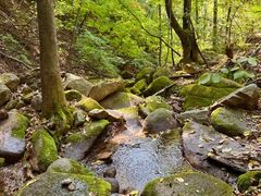 景点-三块石国家森林公园