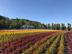 -富田农场