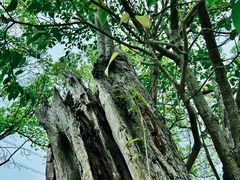 -韩湘水博园