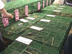 -荔城生鲜盛宴(番禺旗舰店)