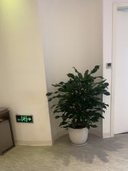 -天津伊美尔医疗整形美容专科医院