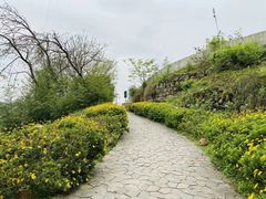 -远山有窑