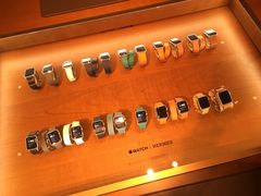 -爱马仕(罗迪欧大道店)