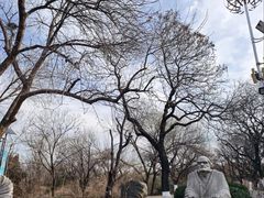 -千佛山风景名胜区