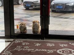 -卓尔美笑口腔·种植·矫正·儿童颜面管理(辽宁街店)