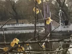 -丰台花园