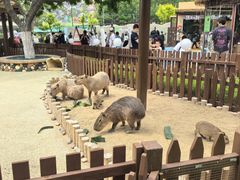 -大连森林动物园