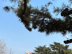-栈桥景区