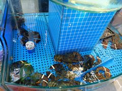 -晶渔坊·海鲜私房菜(东夷小镇店)