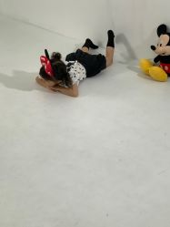 -玛瑞莎·儿童·亲子摄影(越秀店)