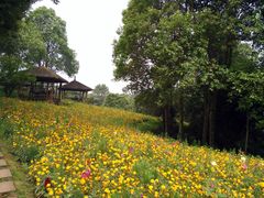 -保利石象湖景区