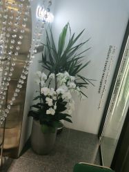-CHIC 小资名妆