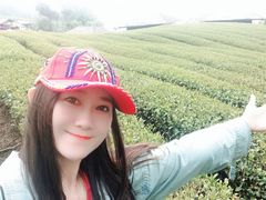 -优游吧斯邹族文化部落