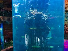 -青岛嘉年华主题乐园