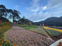 -广州市石门国家森林公园