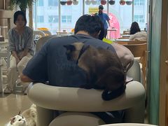 -藏猫猫咖啡主题馆(中央大道店)