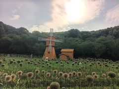 -苏州上方山国家森林公园