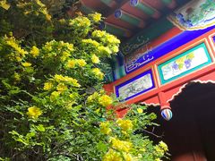 -内蒙古将军衙署博物院