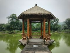 -张坝桂圆林公园