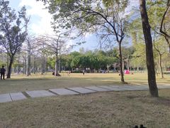 -顺峰山公园