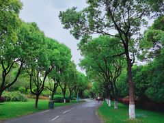-贡湖湾湿地公园