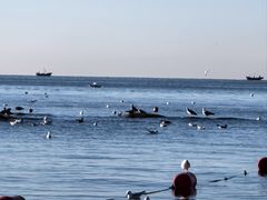 -老虎石海上公园