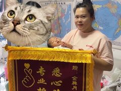 -天鹅到家·保姆月嫂育儿嫂(总店)