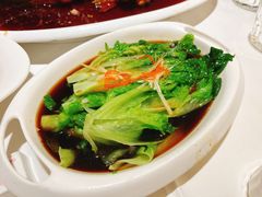 白灼罗马生菜-金春禧·鲁菜海鲜(延吉路万达店)
