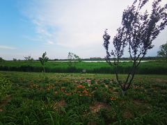 -绿堤公园