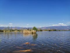 -西昌邛海湿地