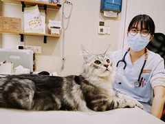 -立德动物医院·24小时中心(番禺区院区)