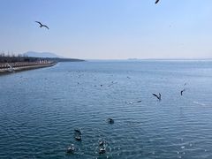 -烟墩角天鹅湖