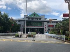 -打洛口岸