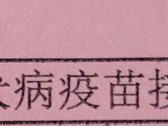 -前小桔亲子创意农场·草莓采摘·露营烧烤
