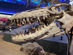 -贝林大翅鲸简餐厅(国家海洋博物馆店)